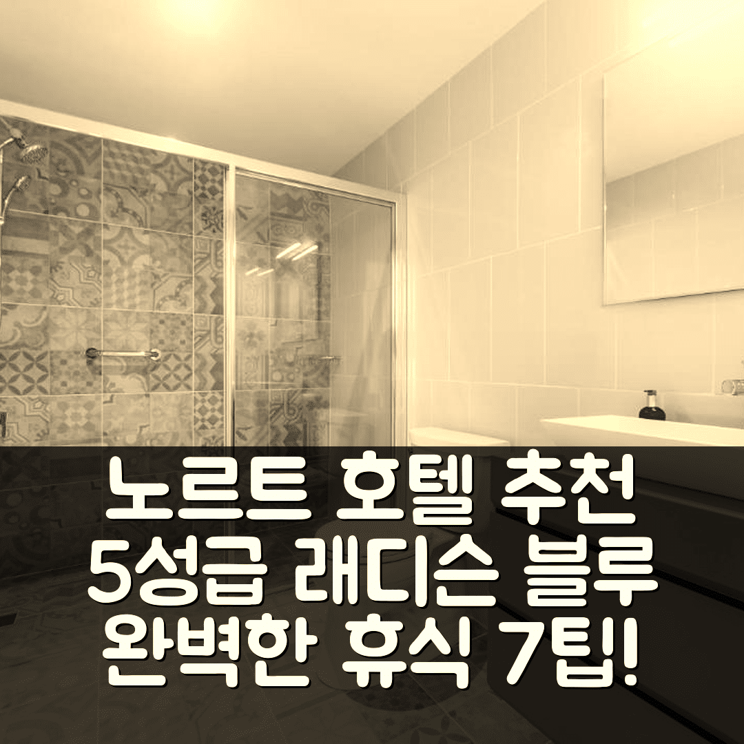 노르트 숙소 여행 호텔 추천 래디슨 블루 아루바 | 5성급 조식과 수영장으로 즐기는 완벽한 휴식 7가지 팁