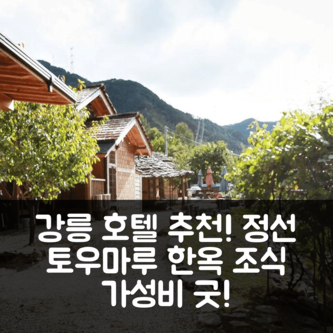 강릉 숙소 여행 호텔 추천 정선 토우마루 한옥 | 조식과 가성비가 뛰어난 5가지 이유