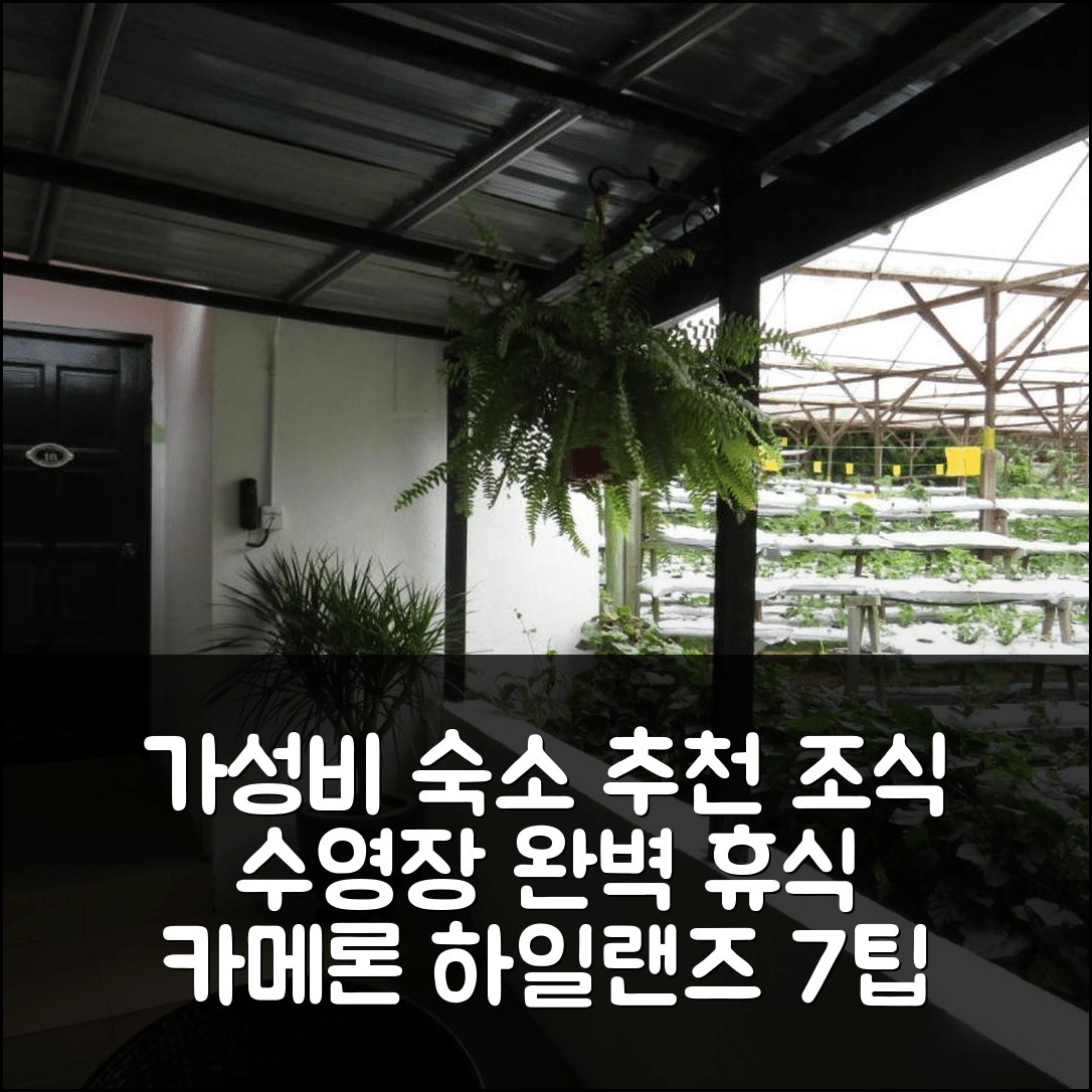 카메론 하일랜즈 숙소 여행 호텔 추천 다룰막무르 샬렛 | 가성비 뛰어난 조식과 수영장 완벽한 휴식지 7가지 팁