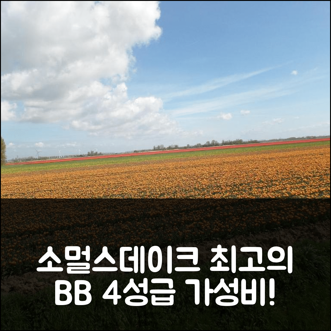 소멀스데이크 숙소 여행 호텔 추천 벤 앤 브렉퍼스트 앤 비앤비 | 4성급 가성비와 조식이 훌륭한 5가지 매력
