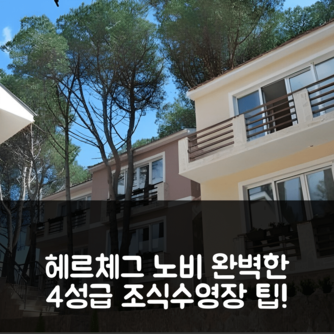 헤르체그 노비 숙소 여행 호텔 추천 호텔 아트 미디어 | 4성급 조식과 수영장으로 완벽한 휴식지 5가지 팁