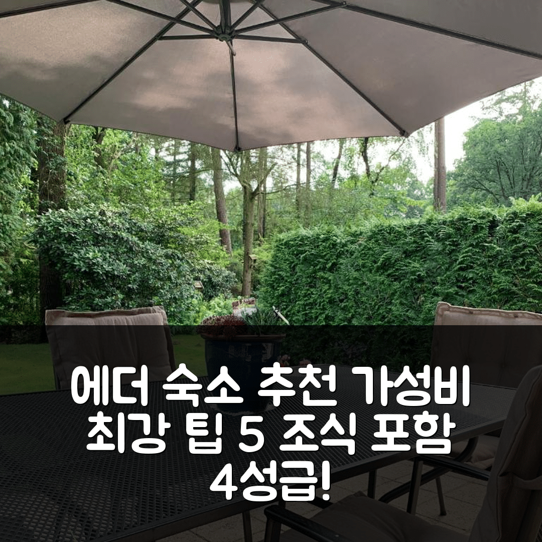 에더 숙소 여행 호텔 추천 가우덴 헐트 릴락센 인 컴포트 | 조식 포함 4성급 수영장과 가성비 좋은 예약 팁 5가지