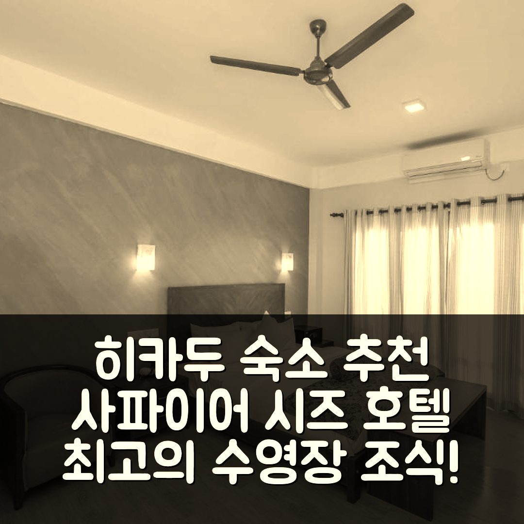 히카두와 숙소 여행 호텔 추천 사파이어 시즈 비치프론트 호텔 | 수영장과 조식이 뛰어난 위치 및 가성비 7가지 이유