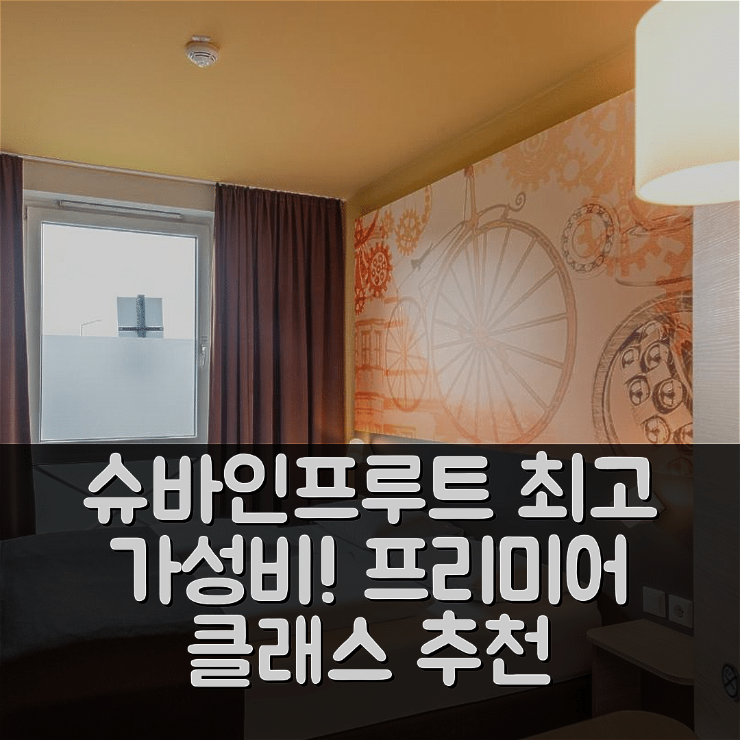 슈바인프루트 숙소 여행 호텔 추천 프레미어 클래스 슈바인푸르트 | 조식과 가성비 최고의 5가지 이유