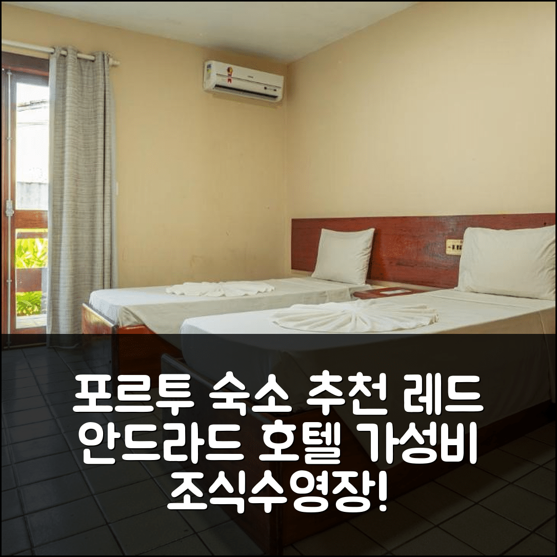 포르투 세구로 숙소 여행 호텔 추천 레드 안드라드 에스트렐라 달바 센트로 호텔 | 가성비 뛰어난 조식과 수영장 정보 5가지