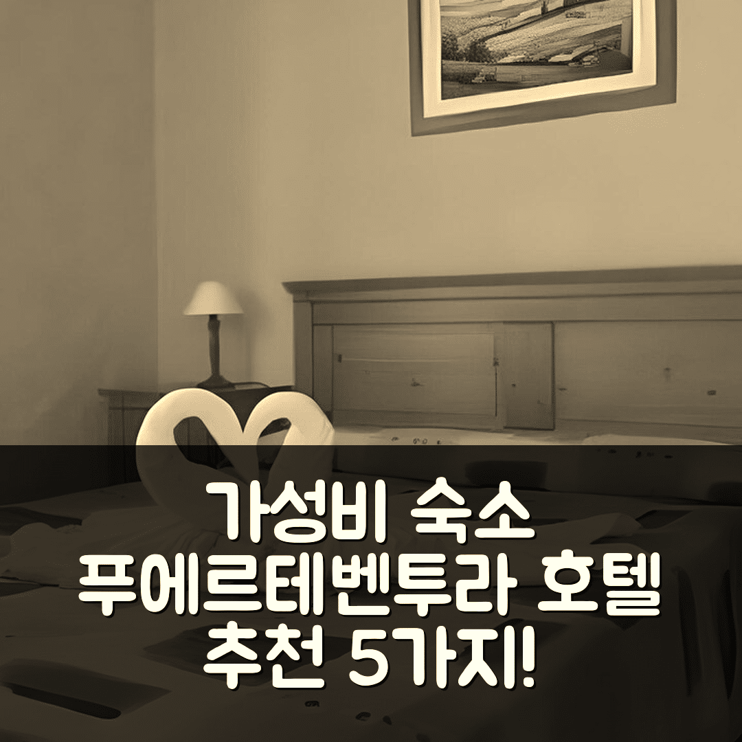푸에르테벤투라 숙소 여행 호텔 추천 방갈로 카스티요 비치 | 가성비 좋은 위치와 조식, 수영장 이용하는 5가지 방법