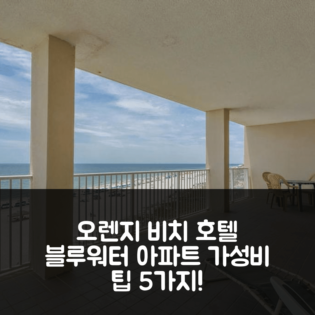 오렌지 비치 숙소 여행 호텔 추천 블루워터 아파트먼츠 3 | 수영장과 조식이 완벽한 가성비 5가지 팁