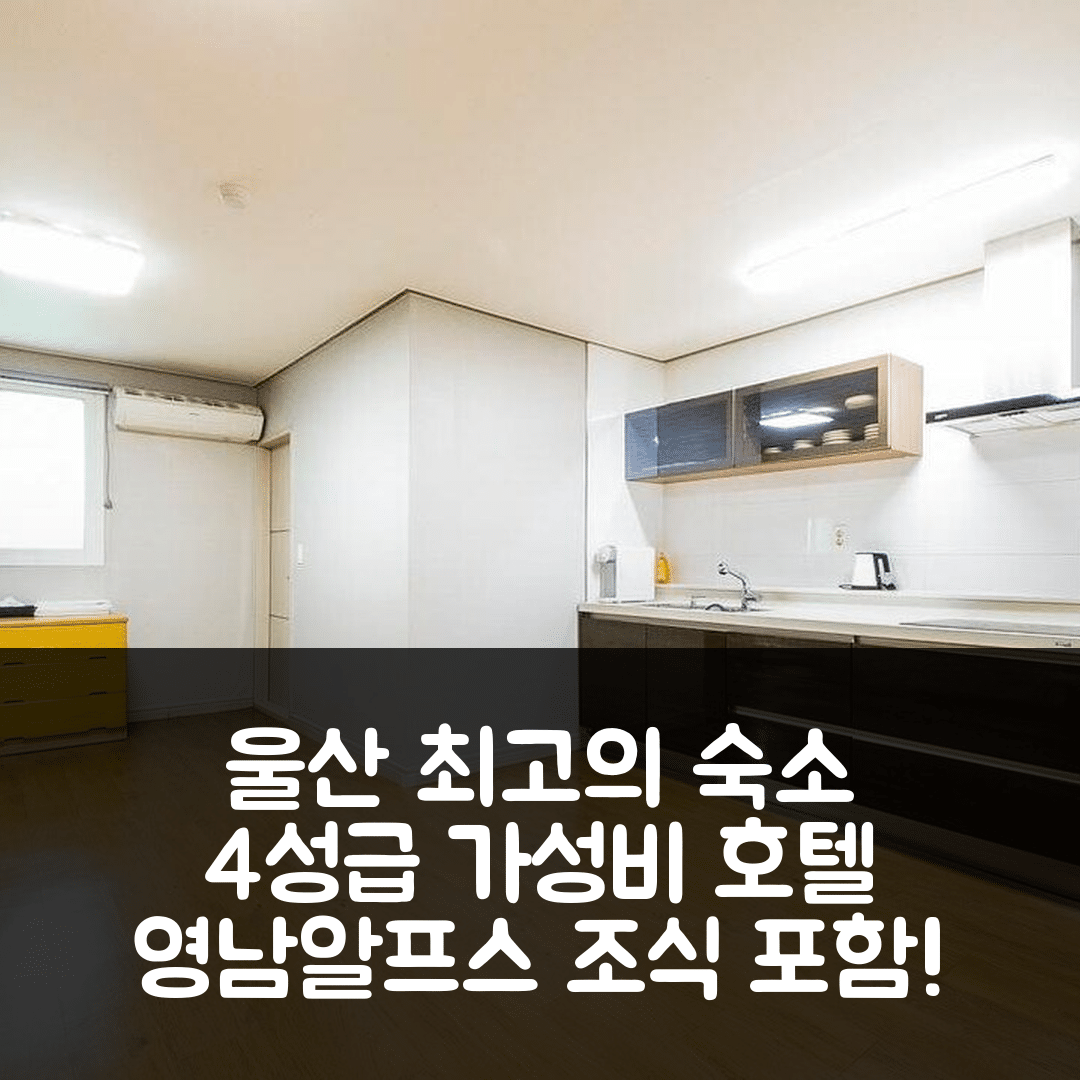울산 숙소 여행 호텔 추천 영남알프스 인투 | 4성급 가성비 조식과 위치가 뛰어난 7가지 이유