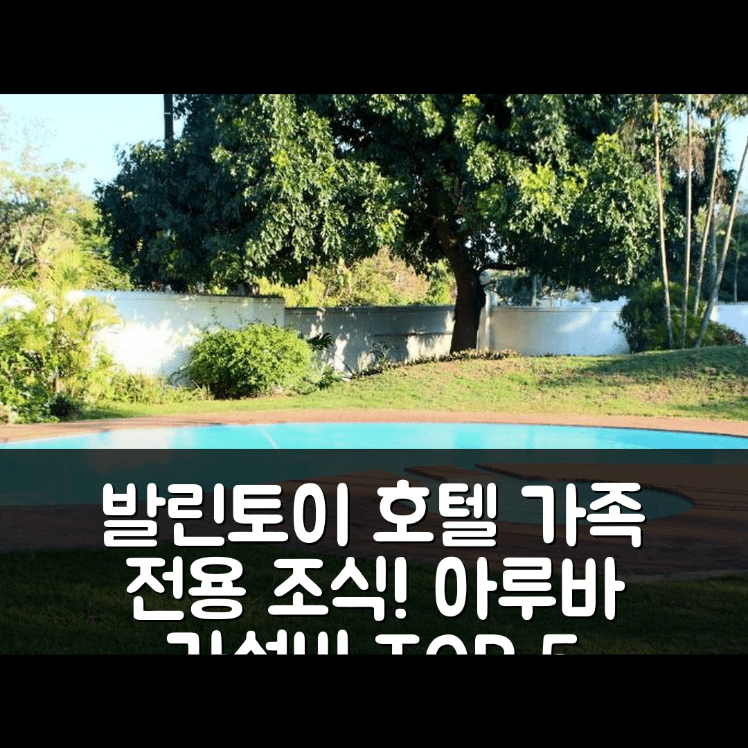 발린토이 숙소 여행 호텔 추천 아루바 29 | 가족 전용 조식과 가성비 뛰어난 위치 5가지 이유