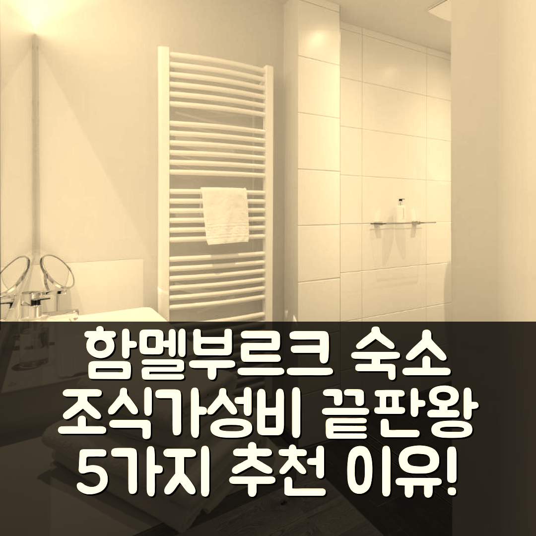 함멜부르크 숙소 여행 호텔 추천 뮬러 다스 바인구트 앤 바이네호텔 | 조식과 가성비 훌륭한 5가지 이유