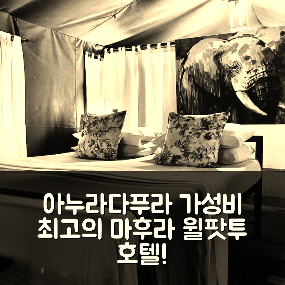 아누라다푸라 숙소 여행 호텔 추천 마후라 윌팟투 호텔 | 조식과 가성비 뛰어난 5가지 이유와 위치 정보