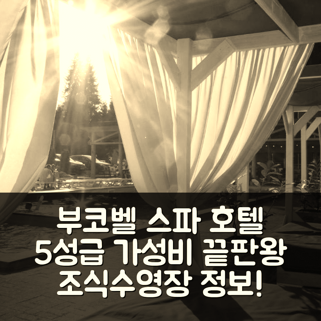 부코벨 숙소 여행 호텔 추천 스파 호텔 나치쿠 | 5성급 최고 가성비와 조식, 수영장 정보 7가지