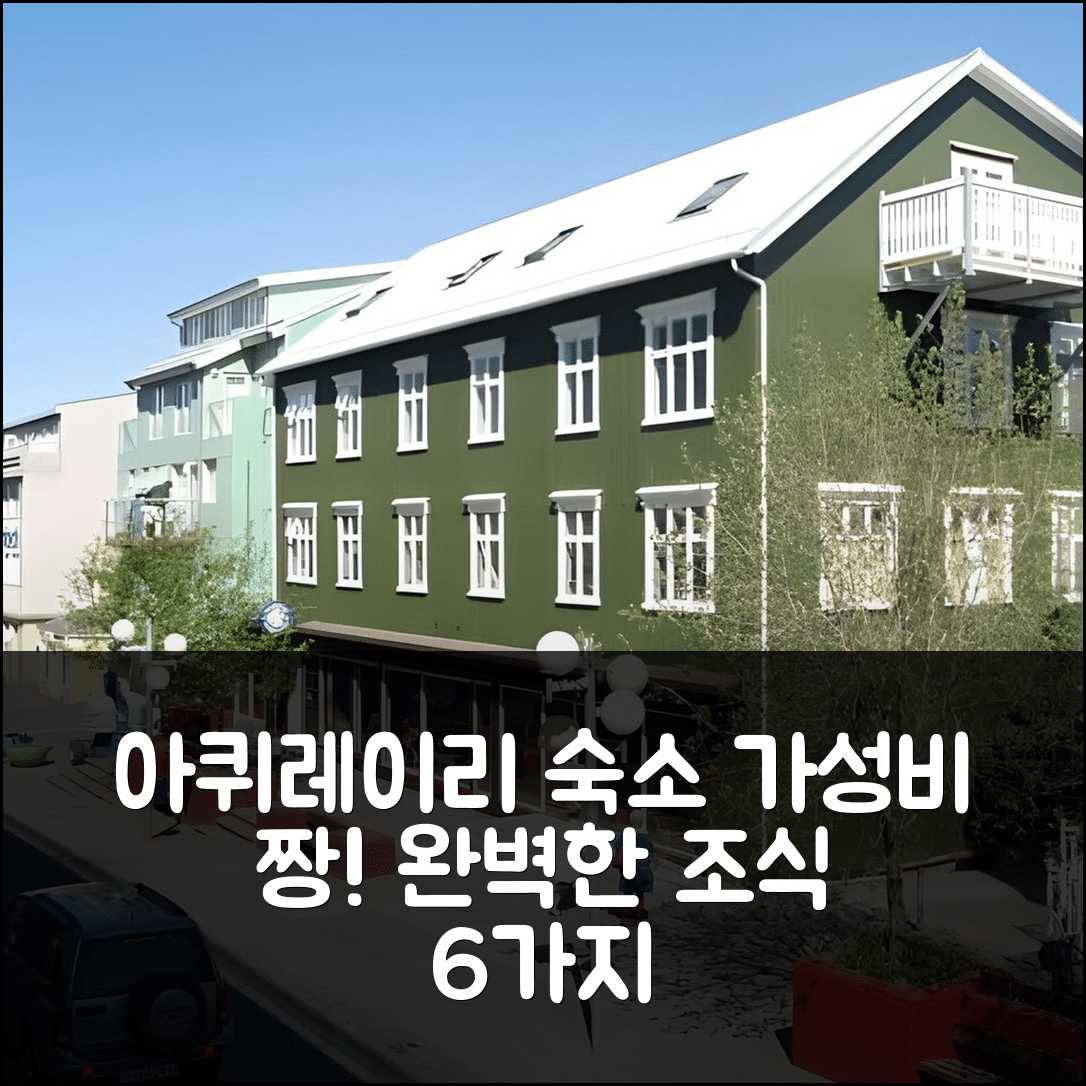 아퀴레이리 숙소 여행 호텔 추천 아쿠레이리 백팩커스 | 가성비와 조식 완벽한 6가지 이유